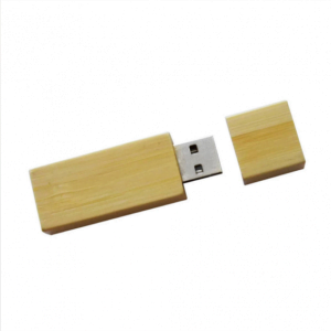 Pen Drive Ecológico Personalizado