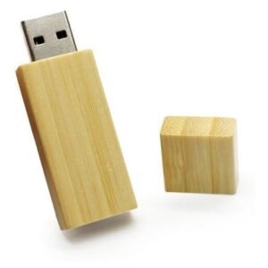 Pen Drive Ecológico